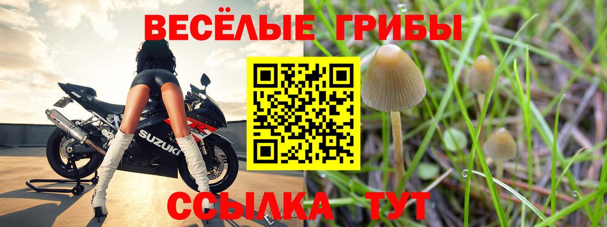 Галлюциногенные грибы мухоморы  Вход с VPN  Нижний Новгород 