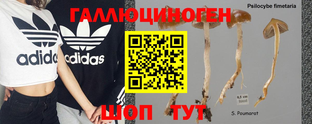 Галлюциногенные грибы мицелий Нижний Новгород